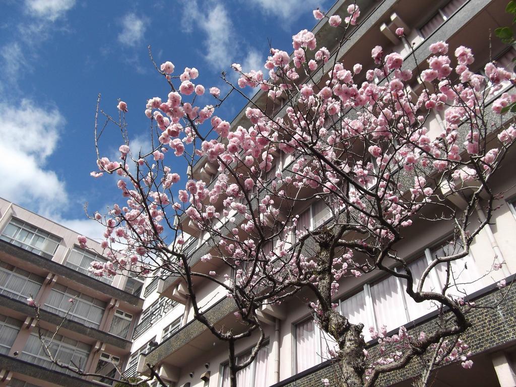 Bosenkan Gero Exterior foto
